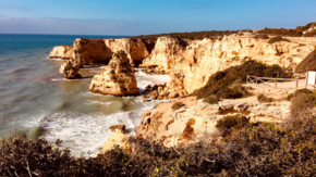 Algarve Felsenalgarve